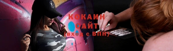 apvp Аркадак