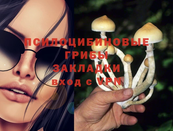 каннабис Арсеньев