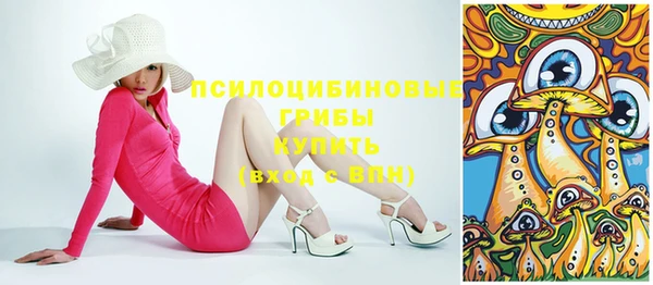 apvp Аркадак